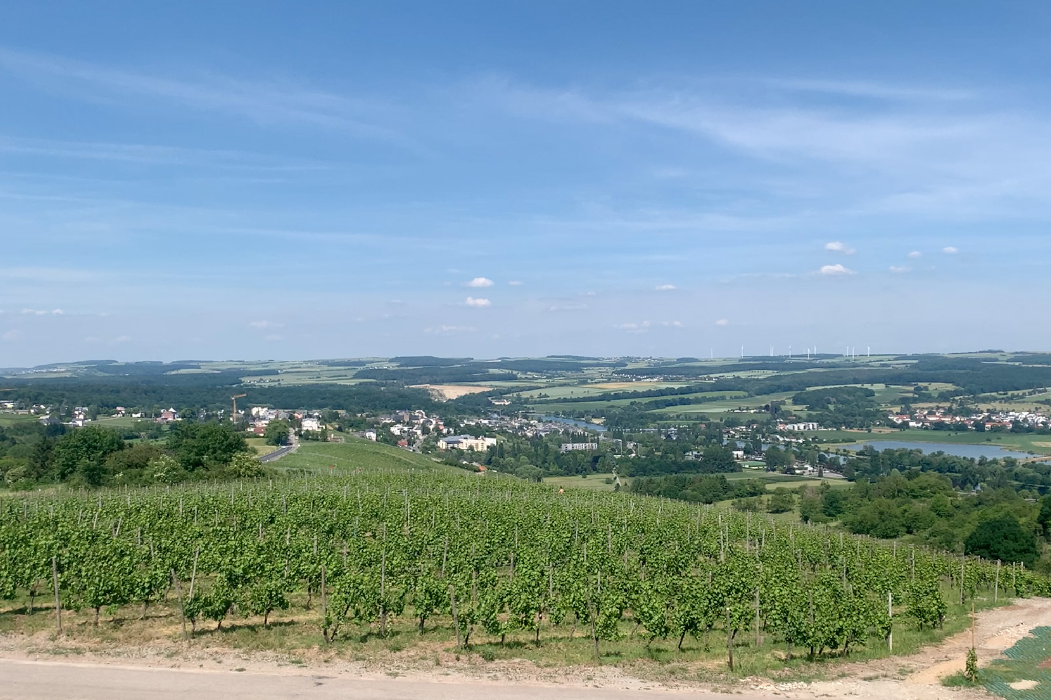 Luxembourg Wine – Crémant, Pinot Noir & 2000 Year History