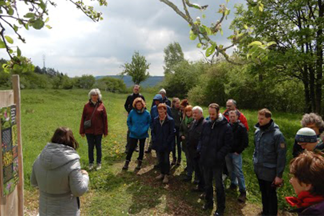 Discover Your Luxembourg Heritage with Mireille Molitor